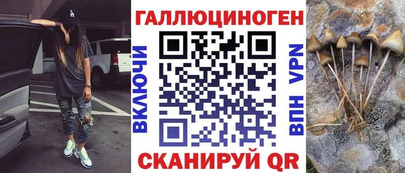как найти   MEGA вход  Галлюциногенные грибы Psilocybine cubensis  Дзержинск 