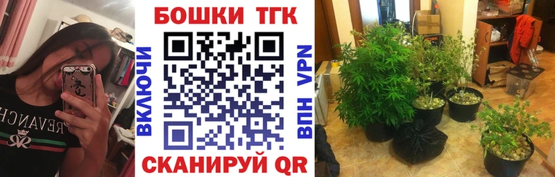 Канабис планчик  Дзержинск 
